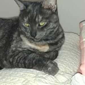 Meet your Posher, Kathy